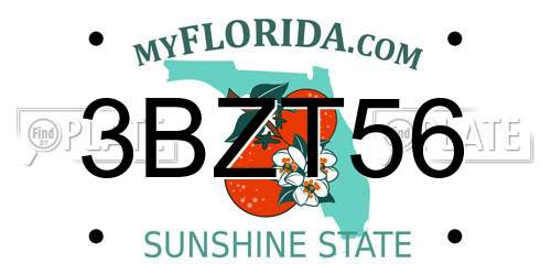 3BZT56 Florida License Plate
