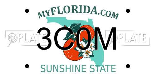 3C0M Florida License Plate