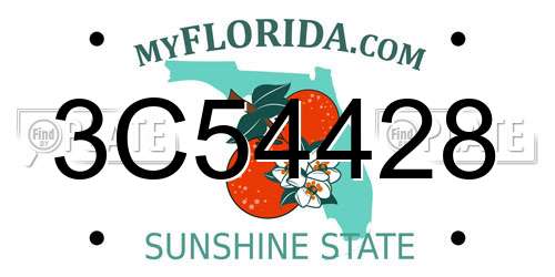 3C54428 Florida License Plate