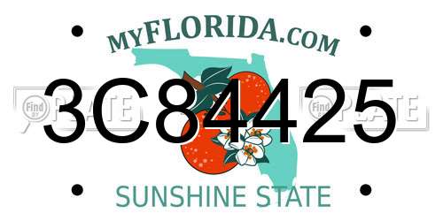 3C84425 Florida License Plate