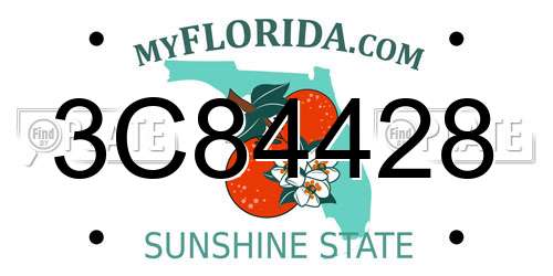 3C84428 Florida License Plate