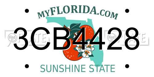 3CB4428 Florida License Plate