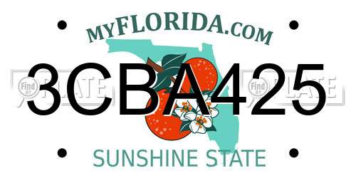 3CBA425 Florida License Plate