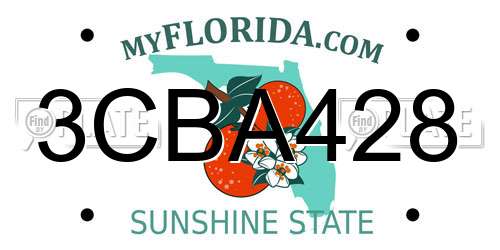 3CBA428 Florida License Plate