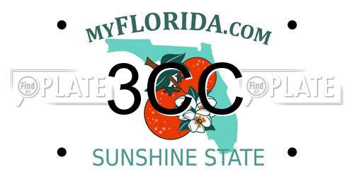3CC Florida License Plate