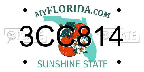 3CC814 Florida License Plate