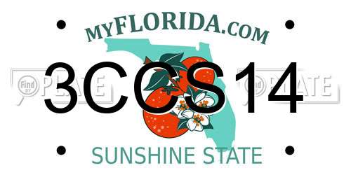 3CCS14 Florida License Plate