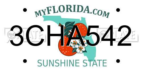 3CHA542 Florida License Plate