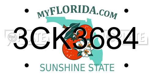3CK3684 Florida License Plate