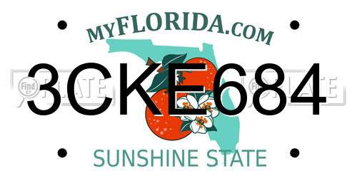 3CKE684 Florida License Plate