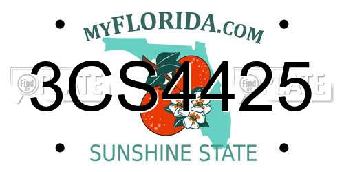 3CS4425 Florida License Plate