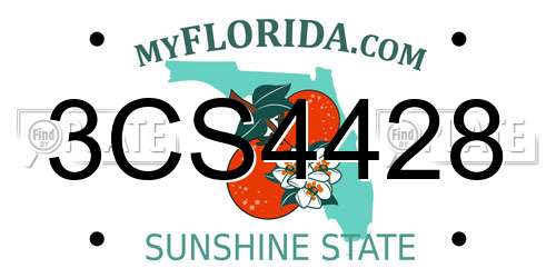 3CS4428 Florida License Plate