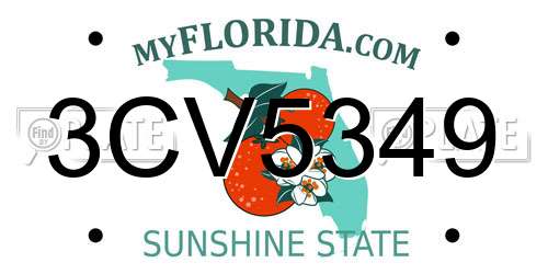 3CV5349 Florida License Plate