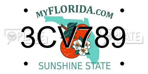 3CV789 Florida License Plate