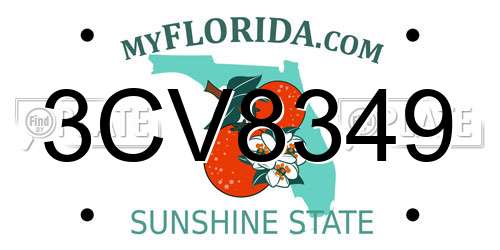 3CV8349 Florida License Plate