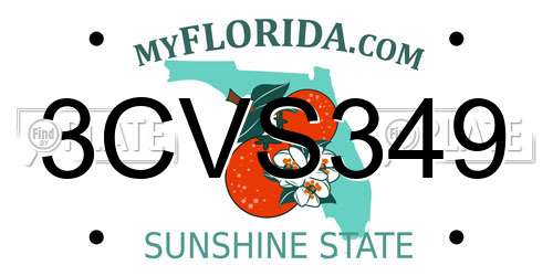 3CVS349 Florida License Plate