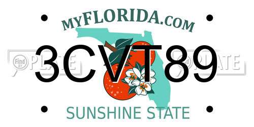 3CVT89 Florida License Plate