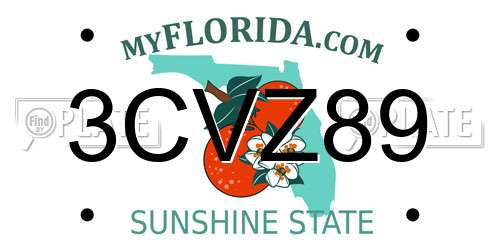 3CVZ89 Florida License Plate