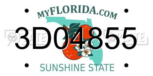 3D04855 Florida License Plate