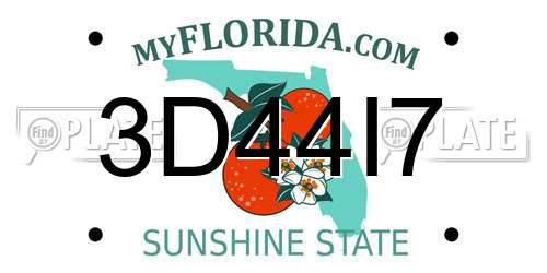 3D44I7 Florida License Plate