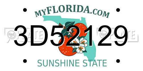 3D52129 Florida License Plate