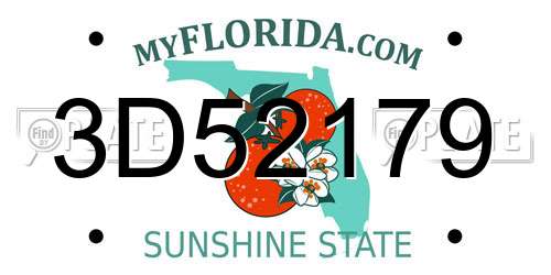 3D52179 Florida License Plate