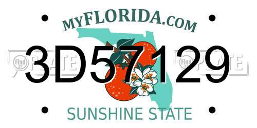 3D57129 Florida License Plate