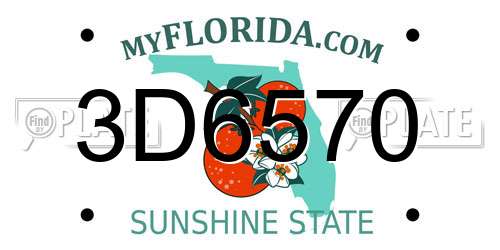 3D6570 Florida License Plate