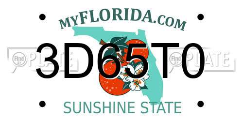 3D65T0 Florida License Plate