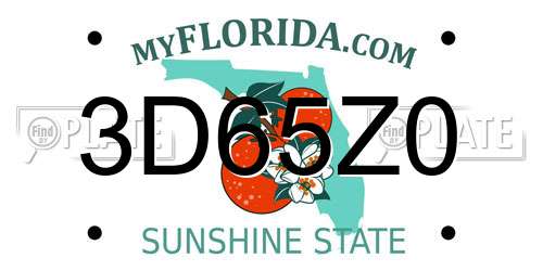 3D65Z0 Florida License Plate