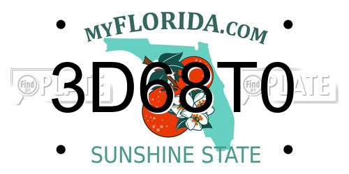 3D68T0 Florida License Plate