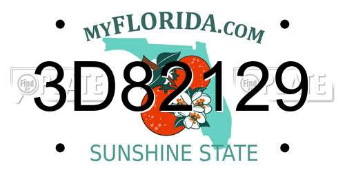 3D82129 Florida License Plate
