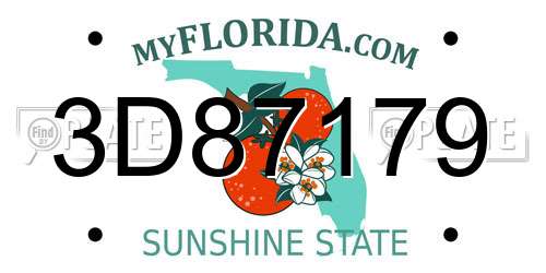 3D87179 Florida License Plate
