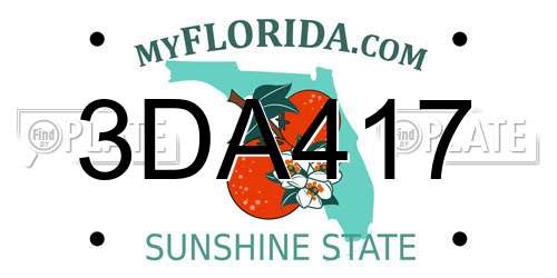 3DA417 Florida License Plate