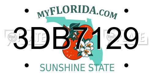 3DB7129 Florida License Plate
