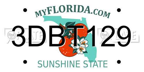 3DBT129 Florida License Plate