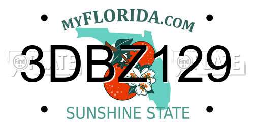 3DBZ129 Florida License Plate