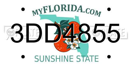 3DD4855 Florida License Plate