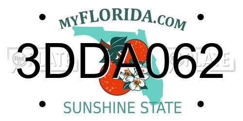 3DDA062 Florida License Plate