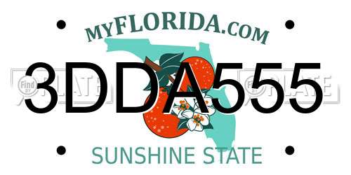 3DDA555 Florida License Plate