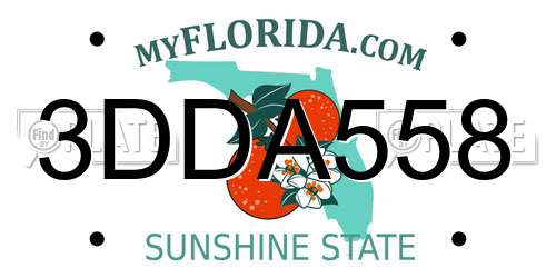 3DDA558 Florida License Plate