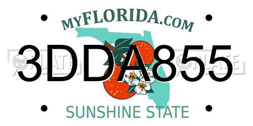 3DDA855 Florida License Plate