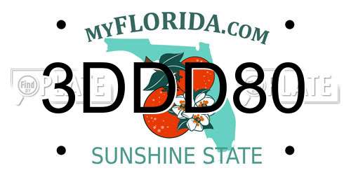 3DDD80 Florida License Plate