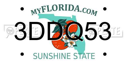 3DDQ53 Florida License Plate