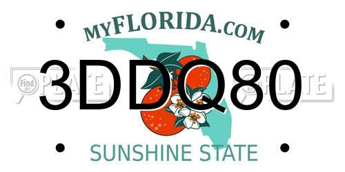 3DDQ80 Florida License Plate
