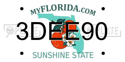 3DEE90 Florida License Plate