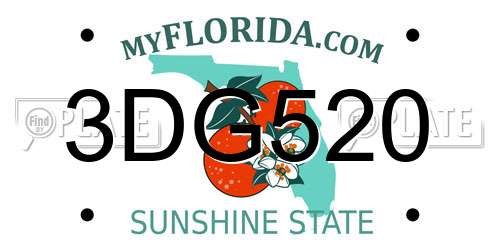 3DG520 Florida License Plate