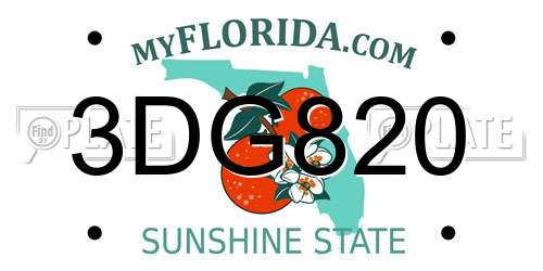 3DG820 Florida License Plate