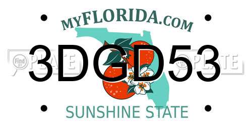 3DGD53 Florida License Plate