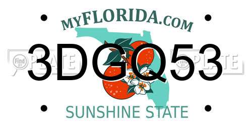 3DGQ53 Florida License Plate